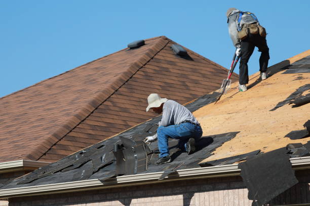 Best Roof Insulation Installation  in Willow Creek, CA